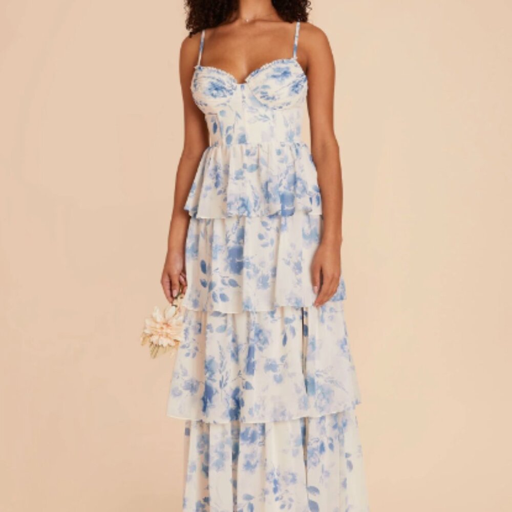 NWT Birdy Grey Lola Dress Chiffon Blue Rococo Floral Size M